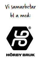 Digitalportalen