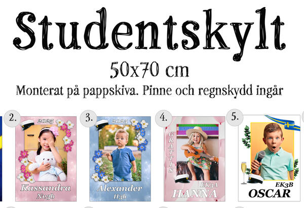 Studentplakat 2024